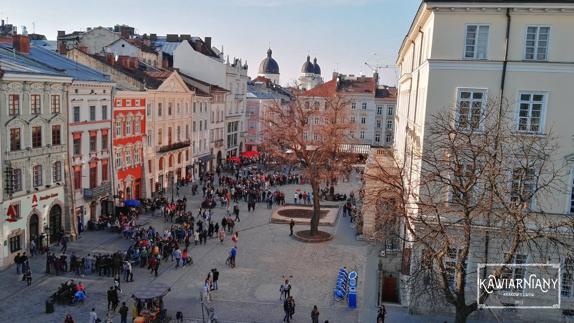 Widok z okna wynajętego przez Airbnb