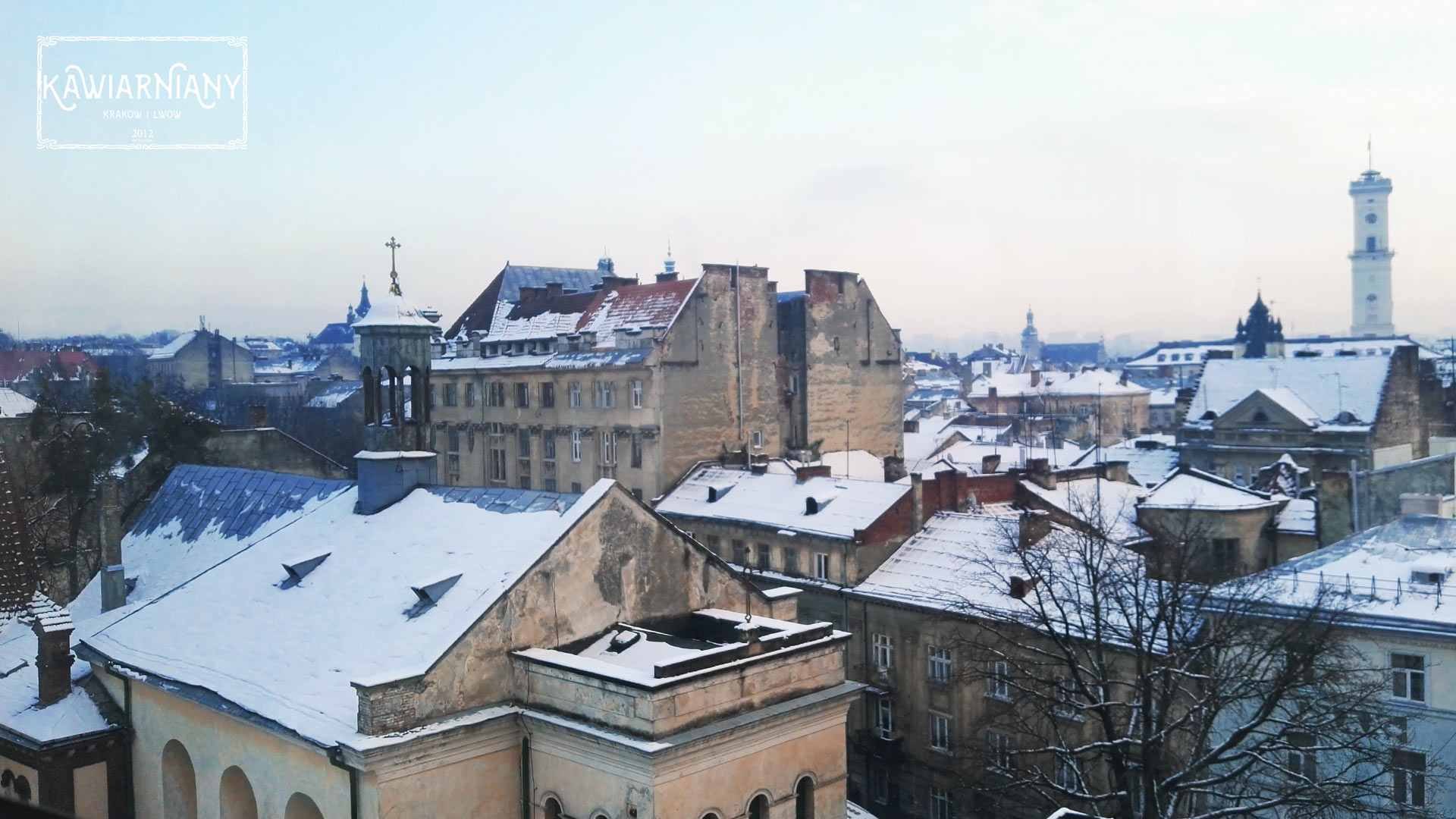 Lwów - widok na panoramę miasta