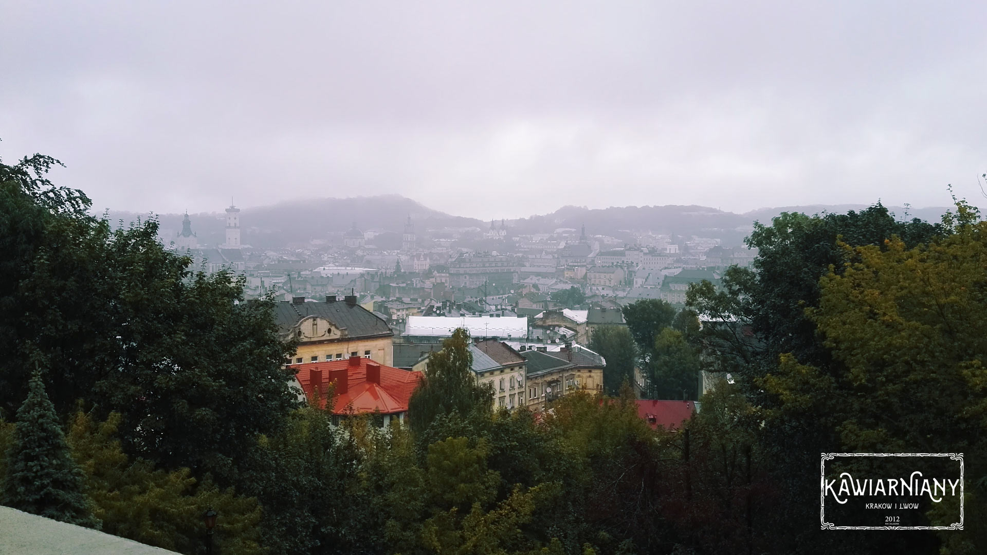 Lwów - widok na panoramę miasta