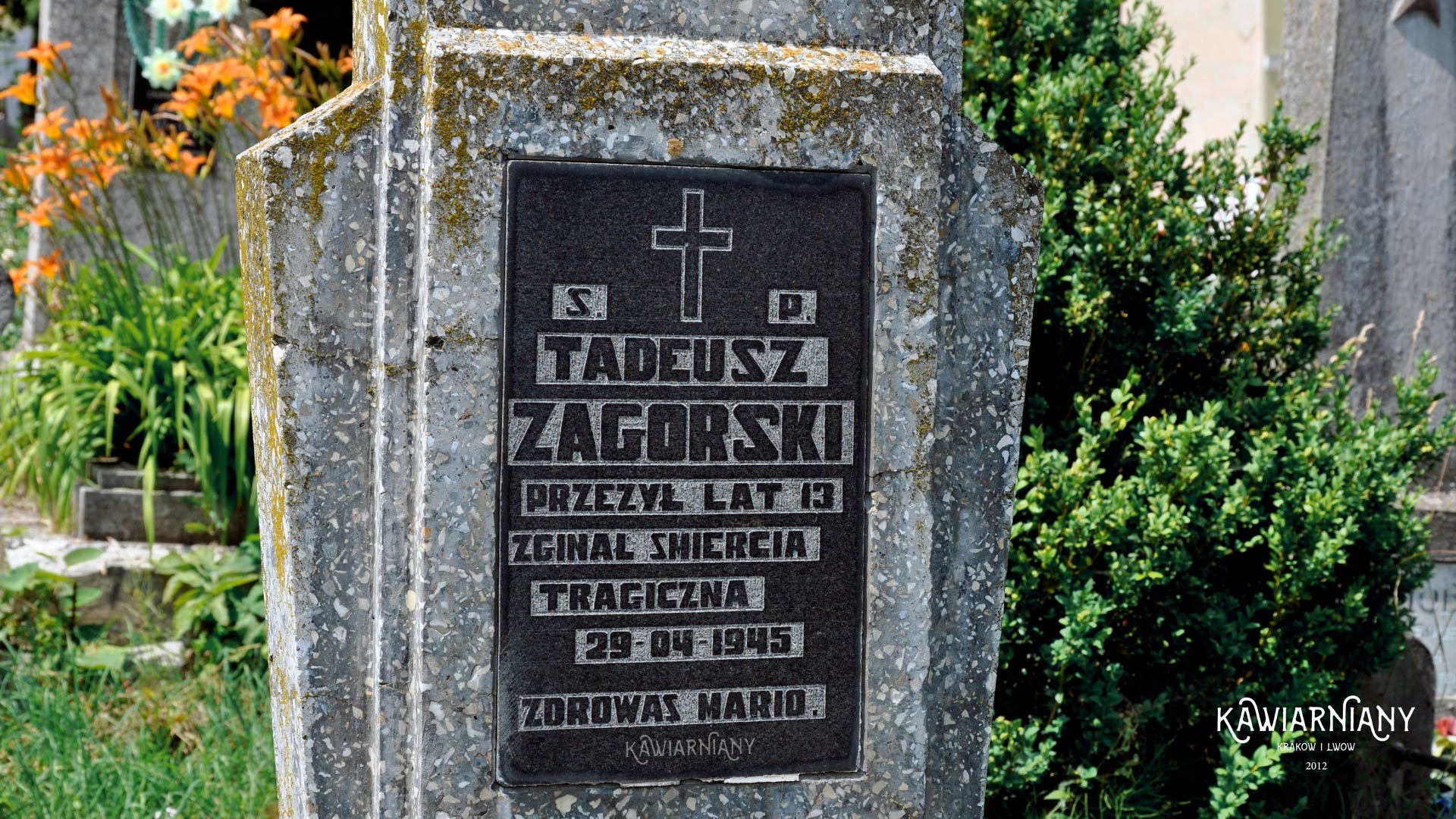 Stary cmentarz w Złoczowie