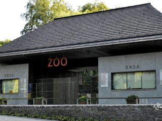 Zoo w Krakowie