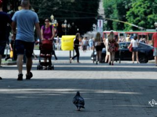 Przewodnik po Lwowie