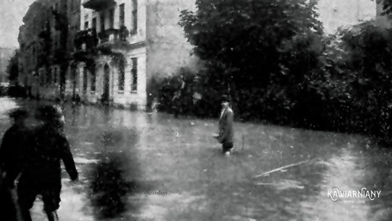 Lwów w 1913 roku