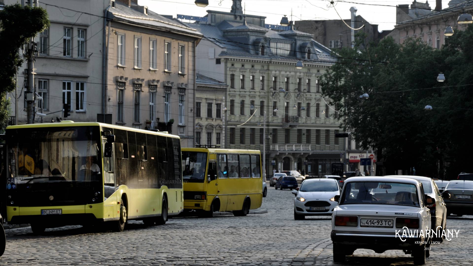 Marszrutka Medyka Lwów