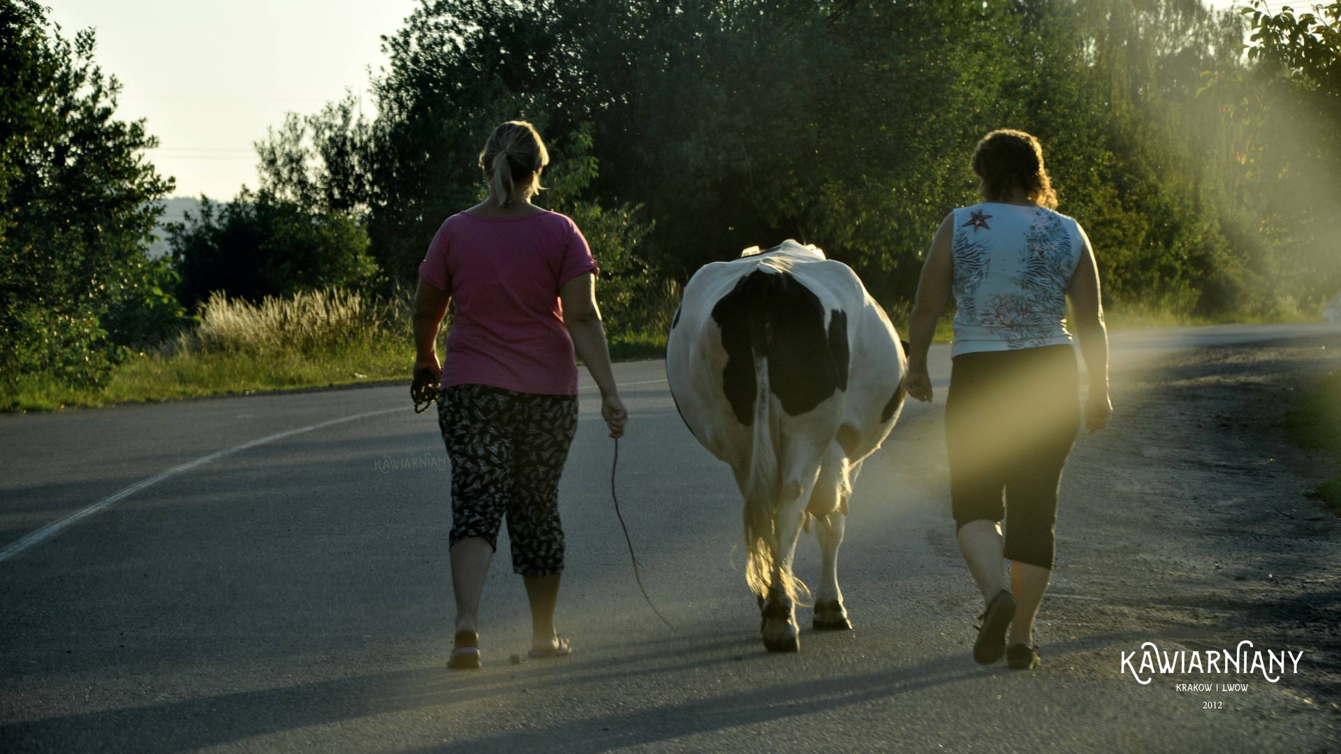 Przepisy drogowe na Ukrainie