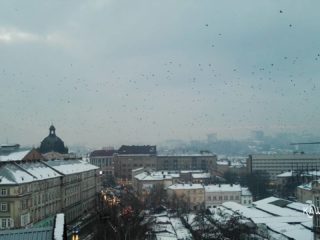 Odra na Ukrainie