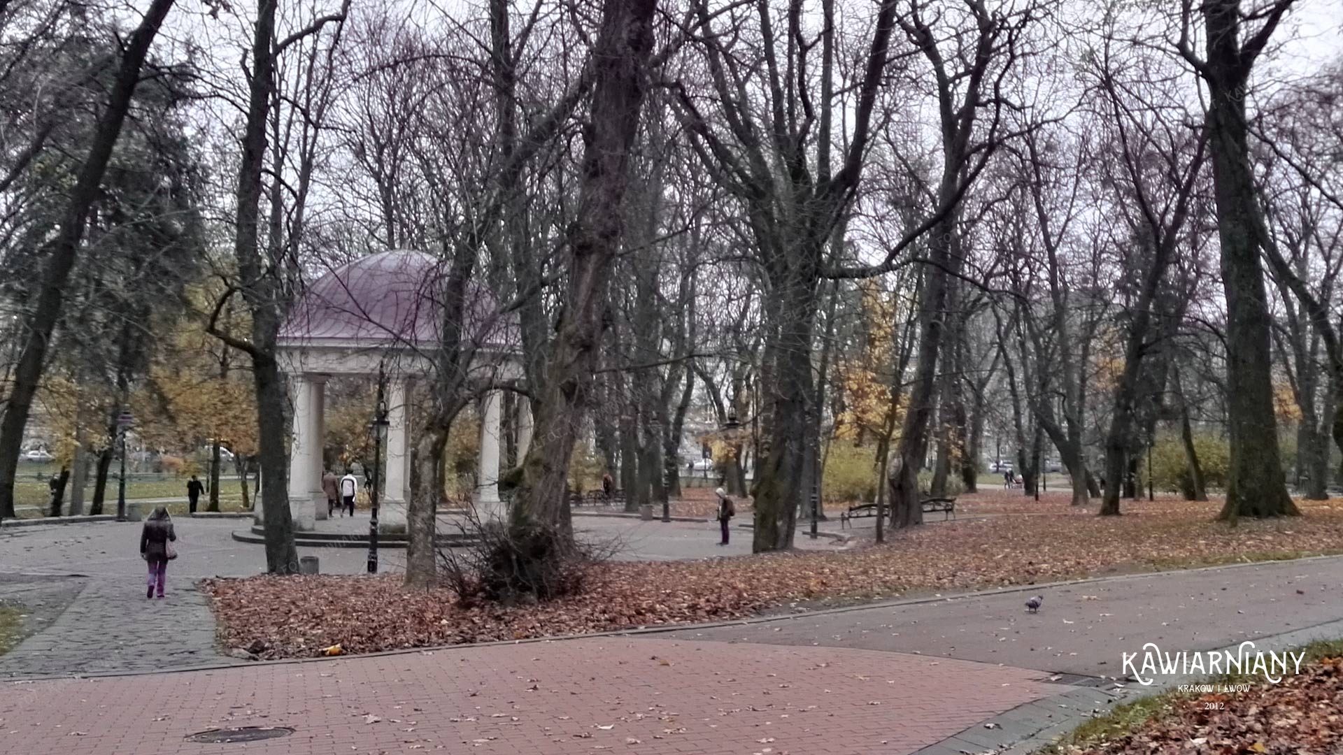 Ogród Jezuicki, Park Kościuszki, Lwów