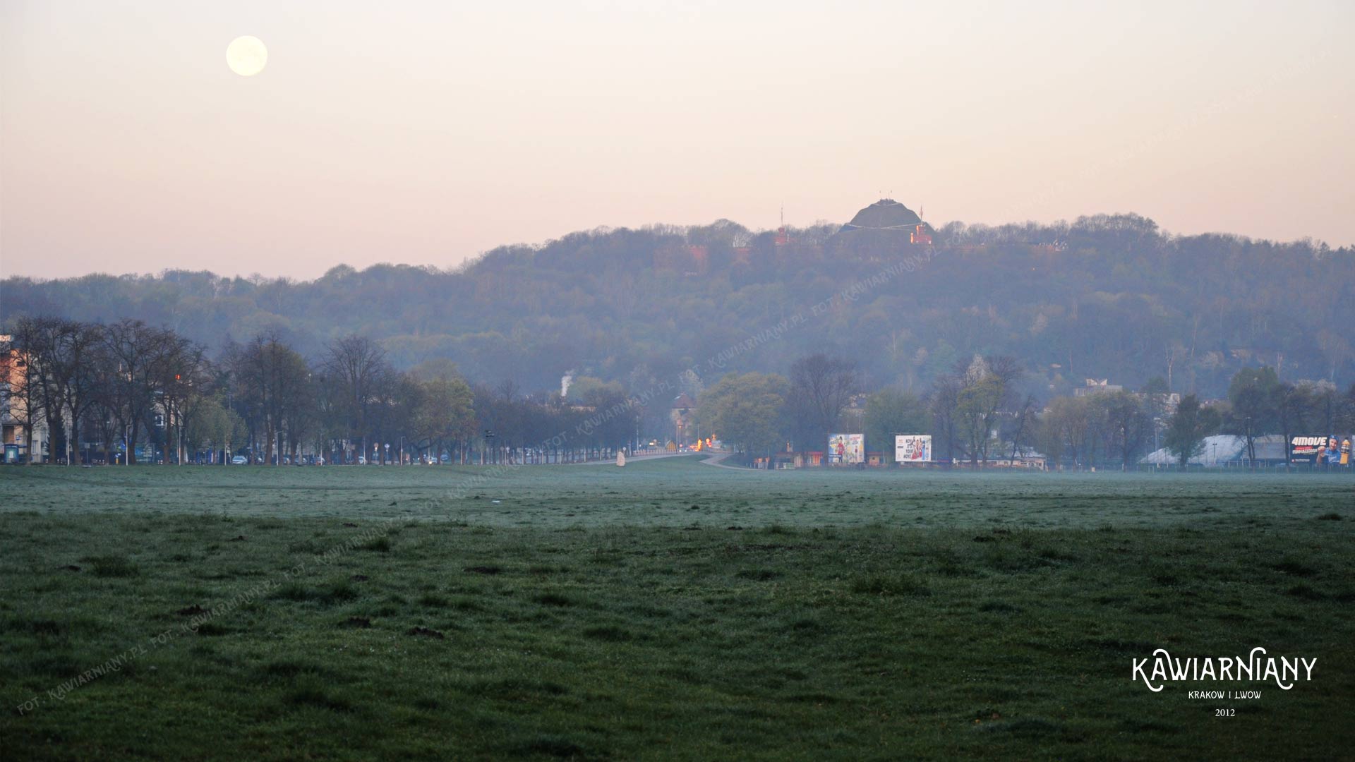 Błonia krakowskie