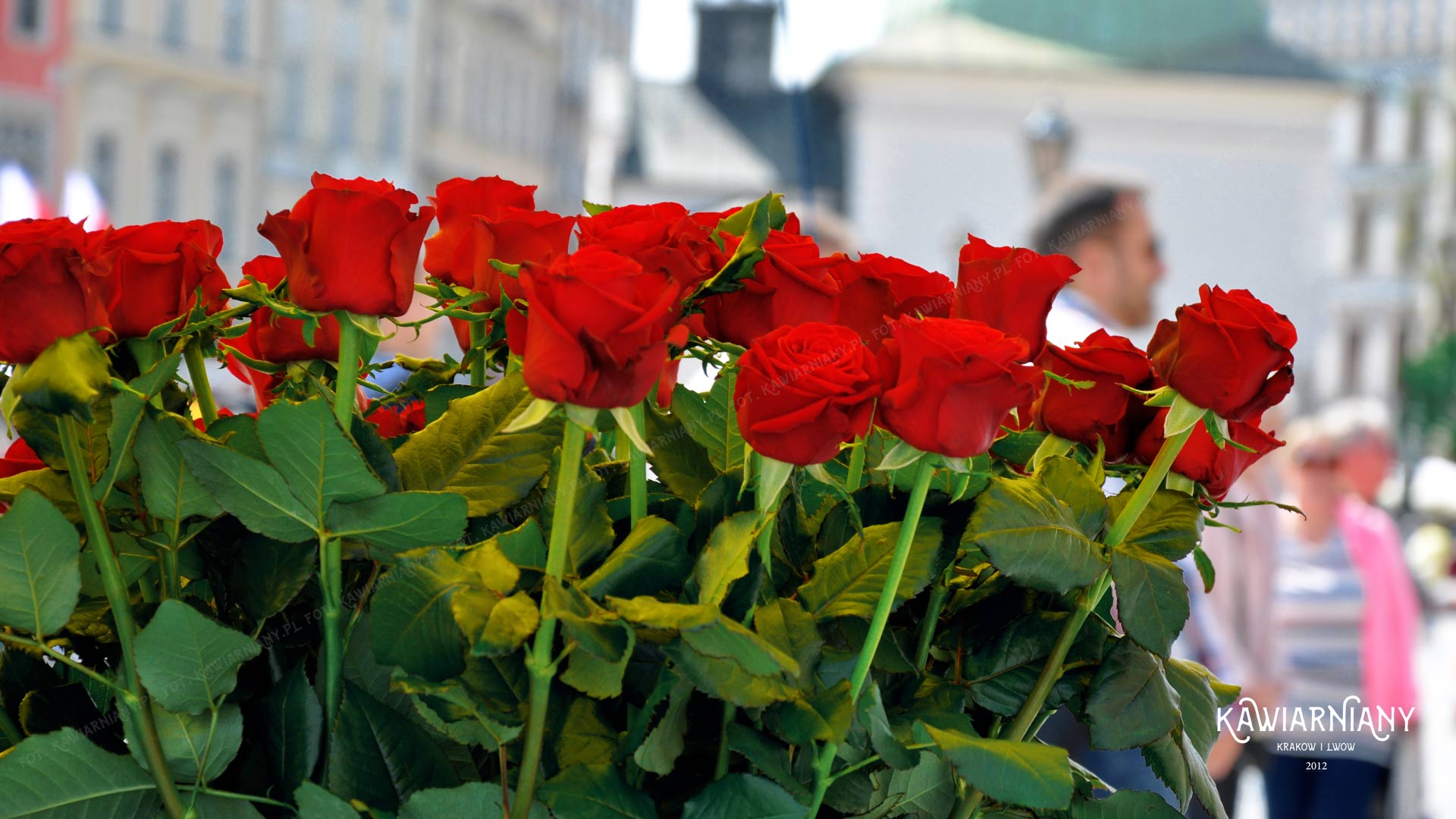 Kwiaciarki w Krakowie