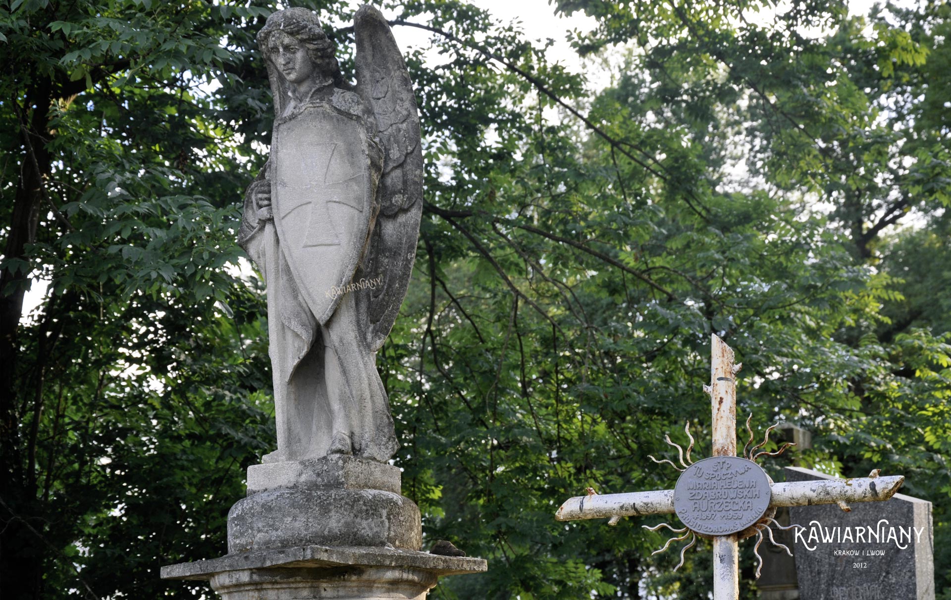 Cmentarz katolicki w Drohobyczu