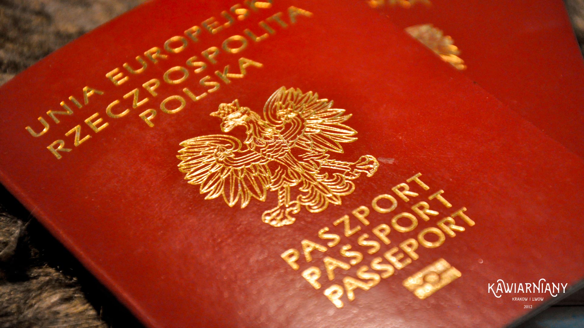 Czy do Holandii jest potrzebny paszport czy dowód? Holandia dokumenty