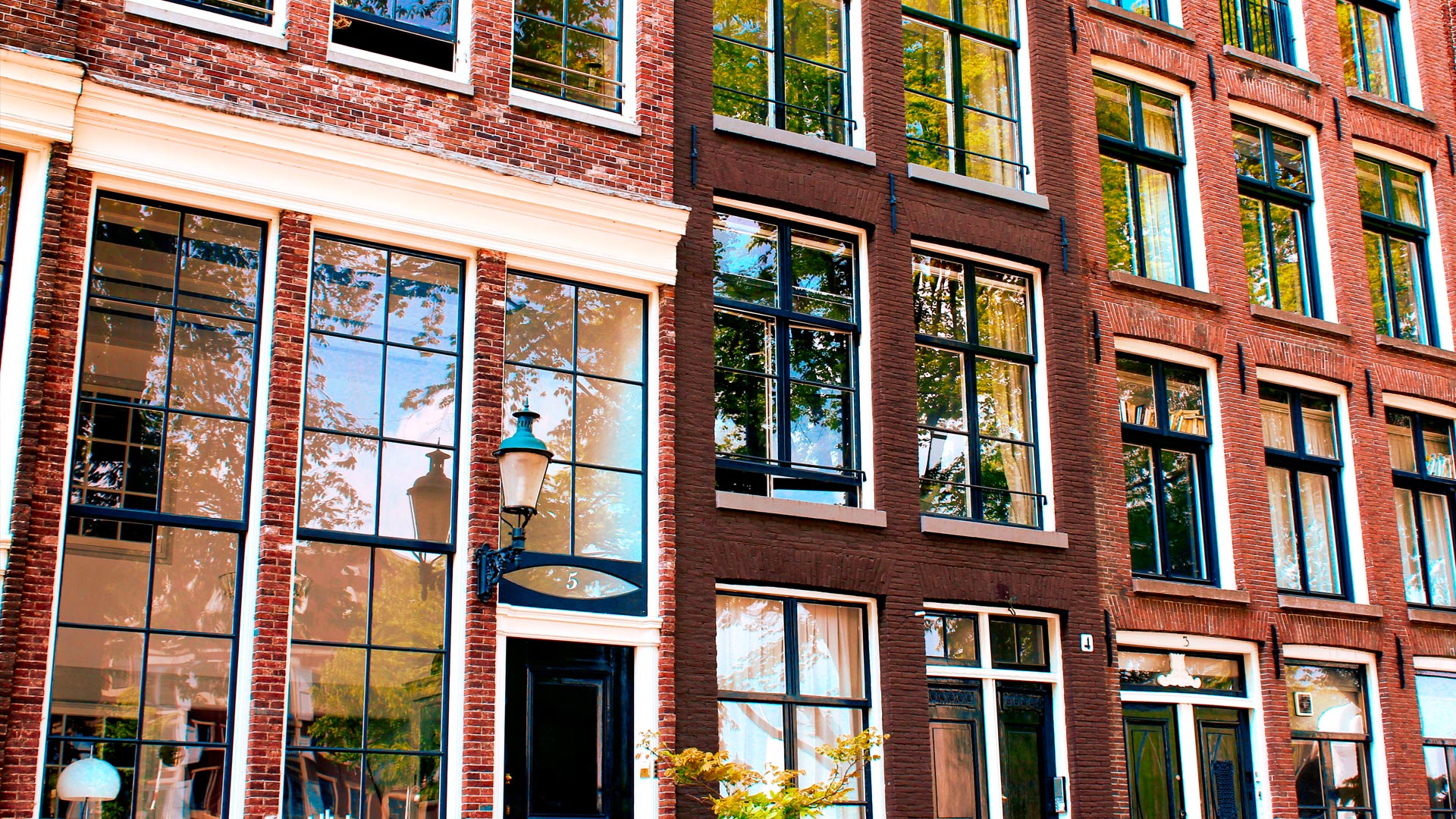 Dlaczego w Holandii są duże okna? Dlaczego nie ma firanek?
