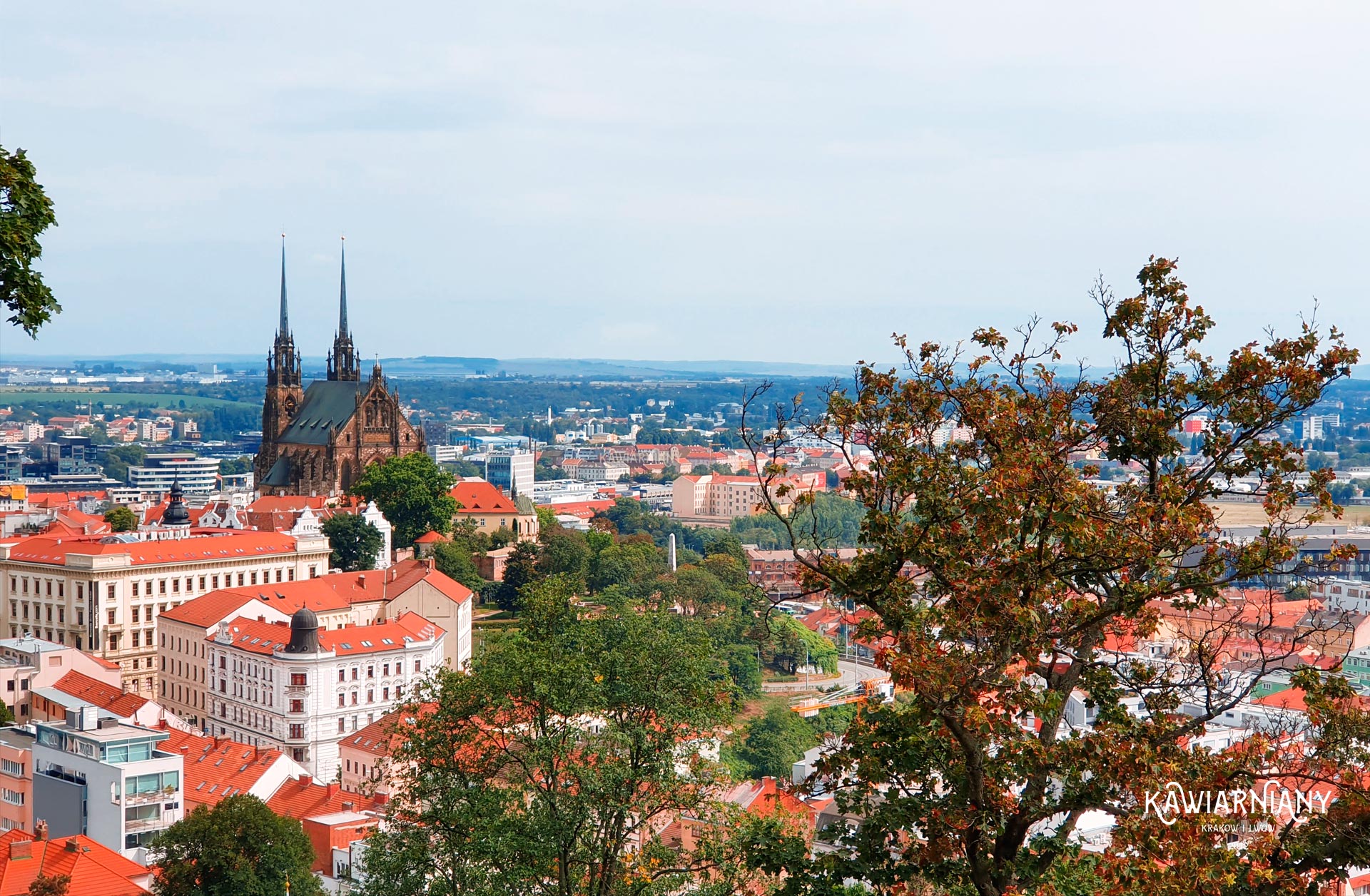 brno zwiedzanie