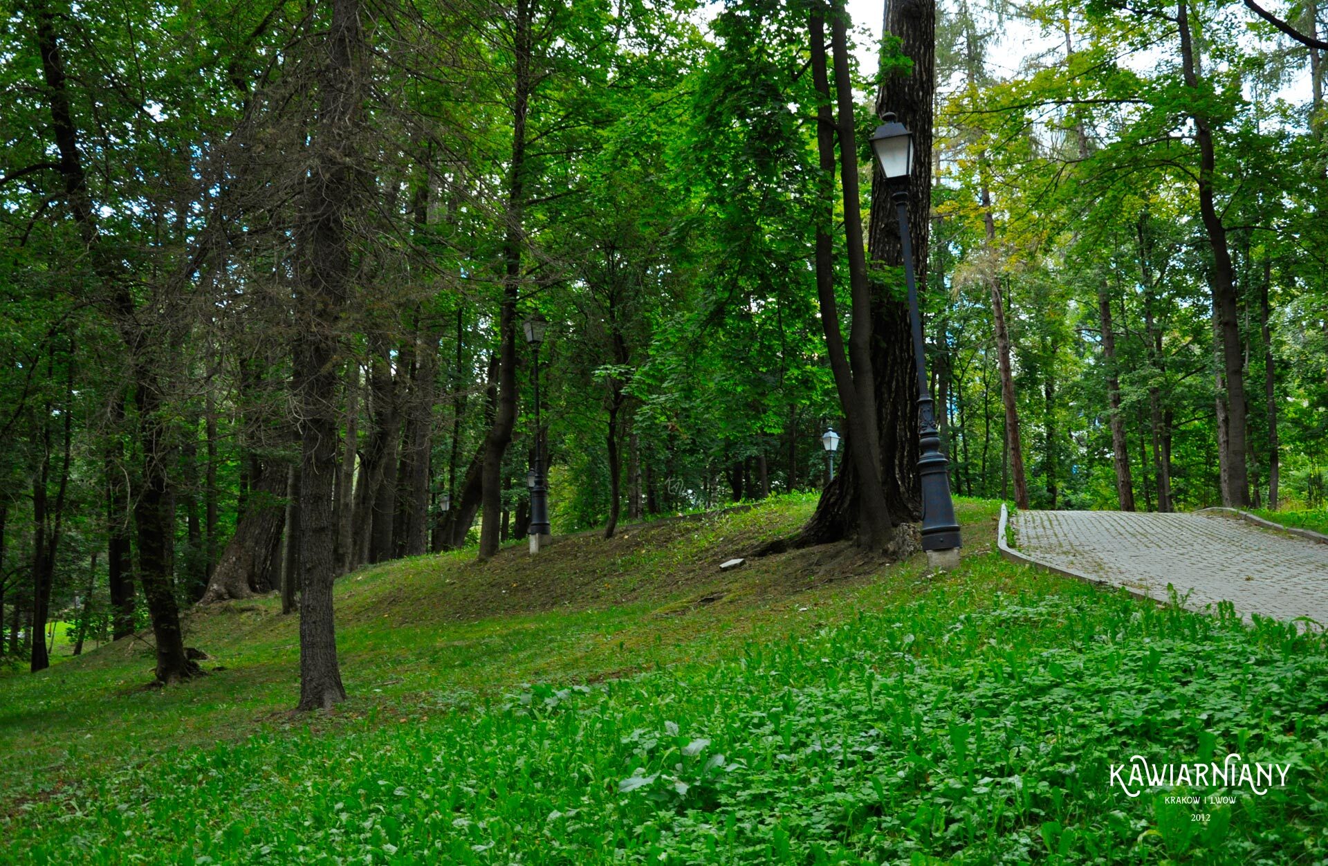 Park Górny w Szczawnicy