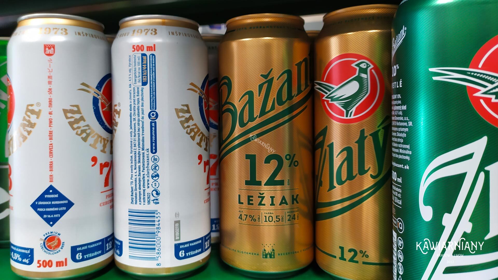 Ile kosztuje piwo w Czechach? Ceny piwa w Czechach