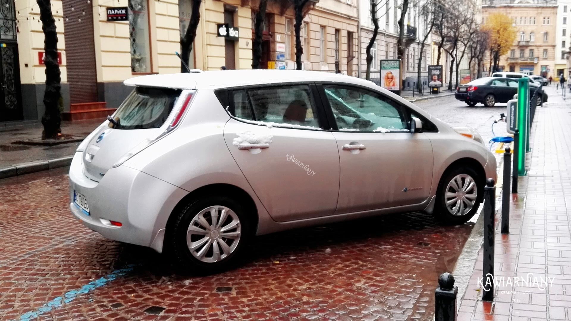 Ukraiński rynek samochodów elektrycznych w górę