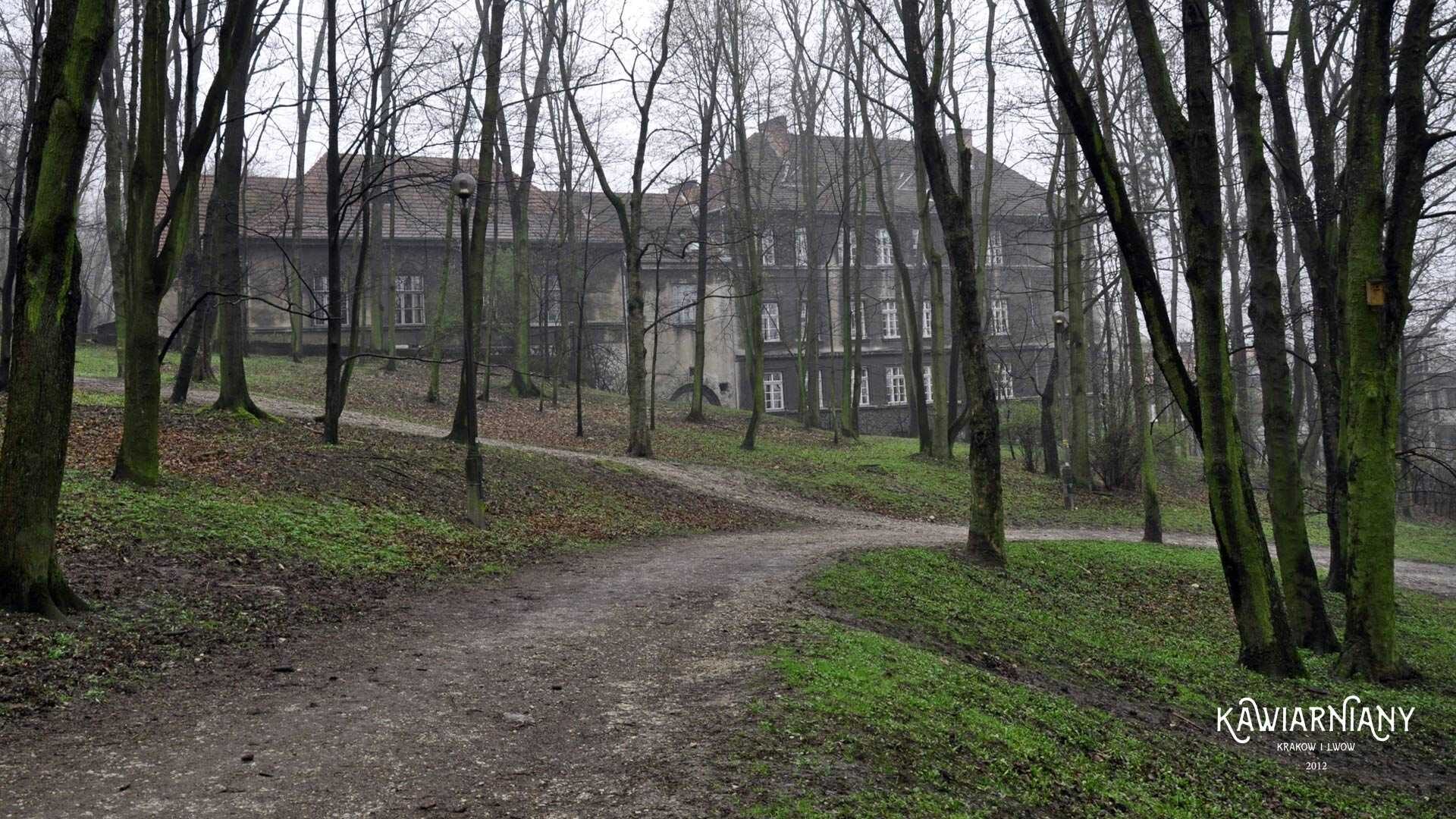 Park Bednarskiego w Podgórzu. Najdzikszy park w Krakowie