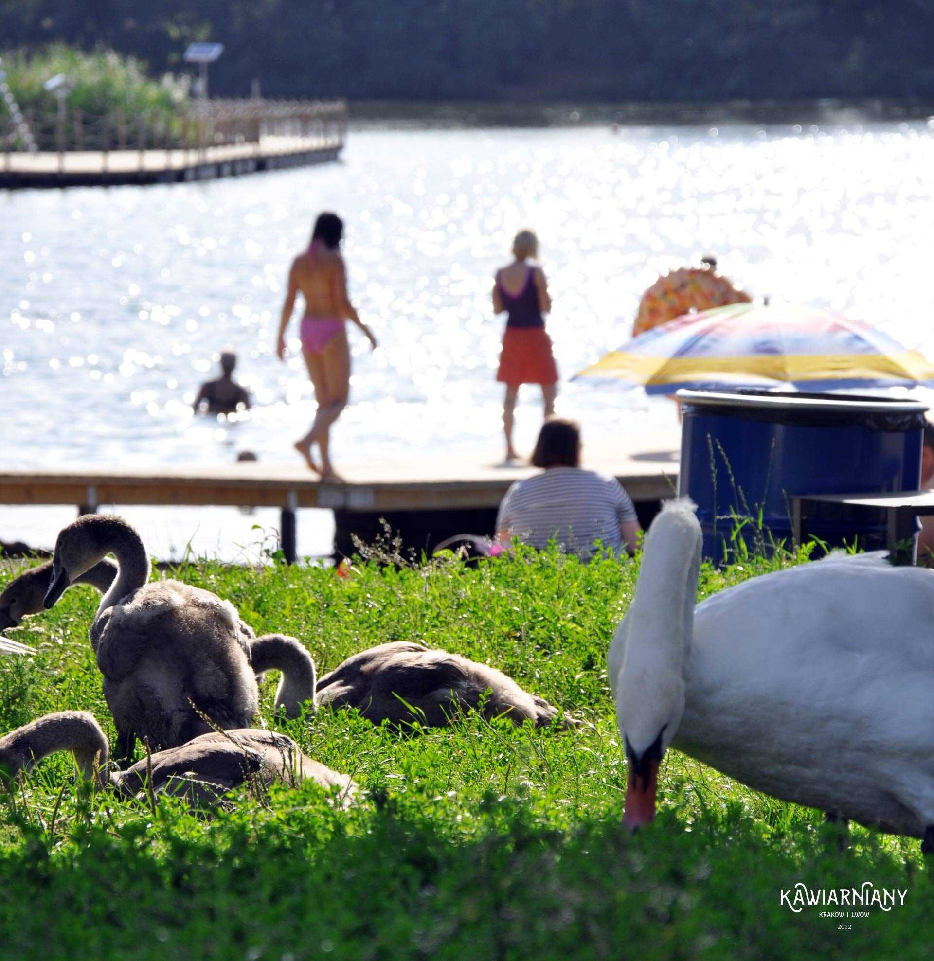 przylasek rusiecki plaża