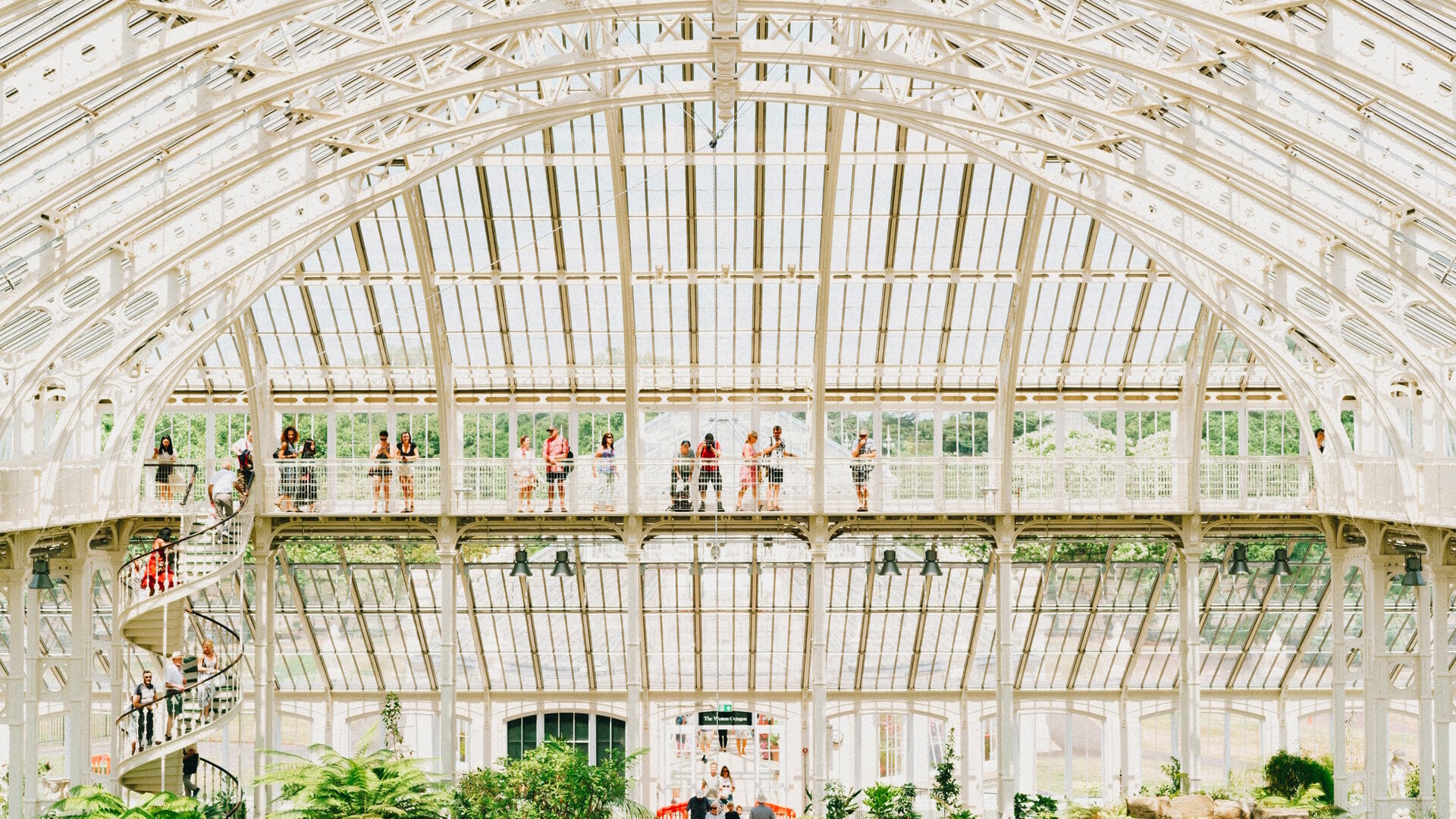 Królewskie Ogrody Botaniczne Kew – cennik, bilety, zwiedzanie 2023